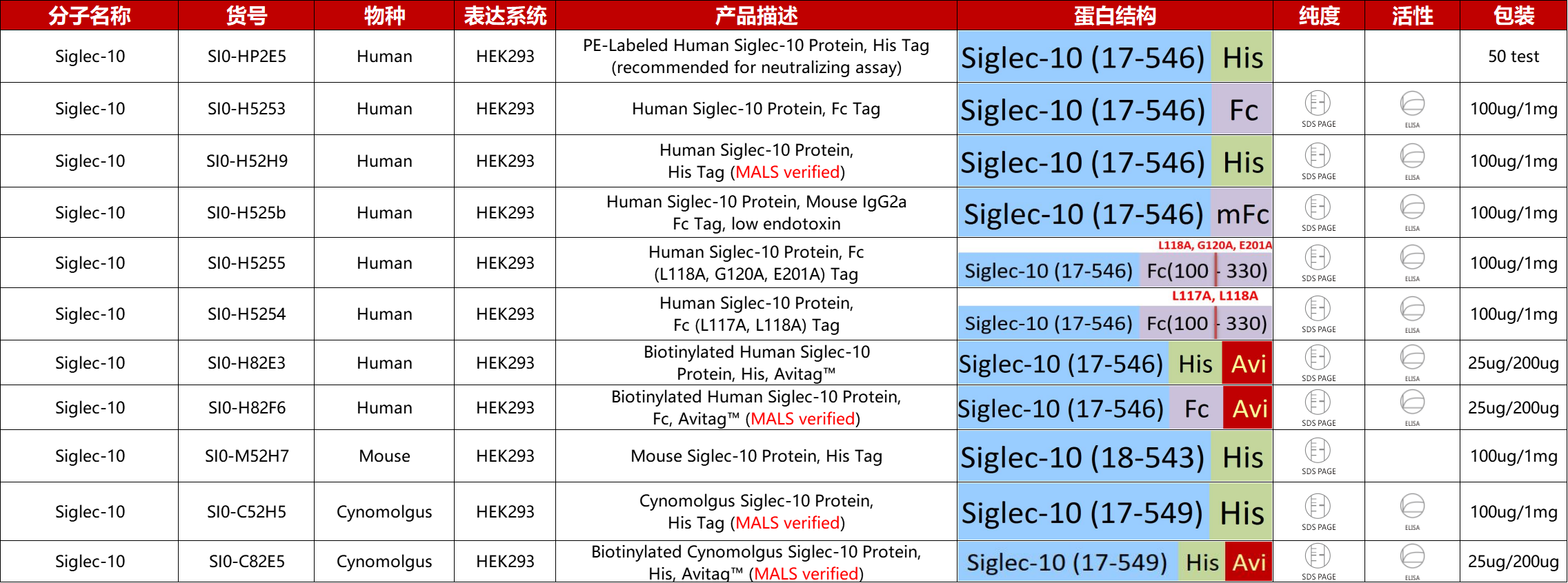 Siglec-10重组蛋白