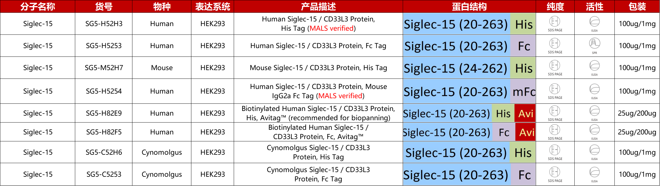 Siglec-15重组蛋白