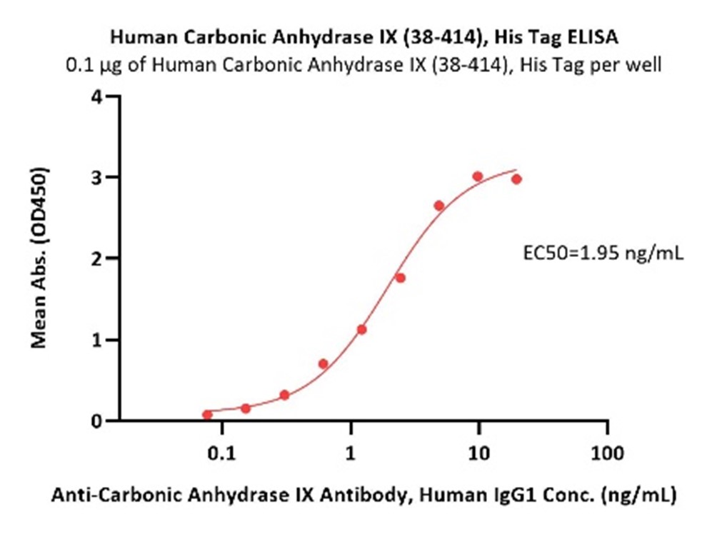 碳酸酐酶IX