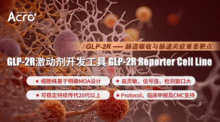 【肠道好帮手】GLP-2R功能细胞株助力肠道疾病激动剂开发