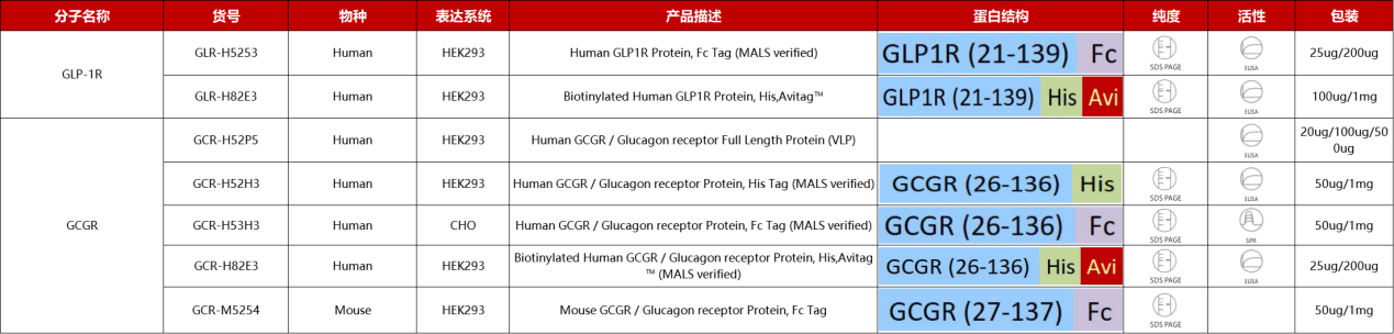 GLP-1R/GCGR重组蛋白