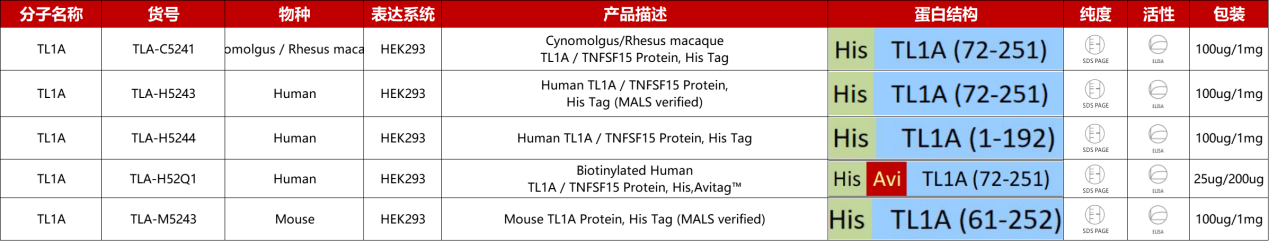 TL1A重组蛋白