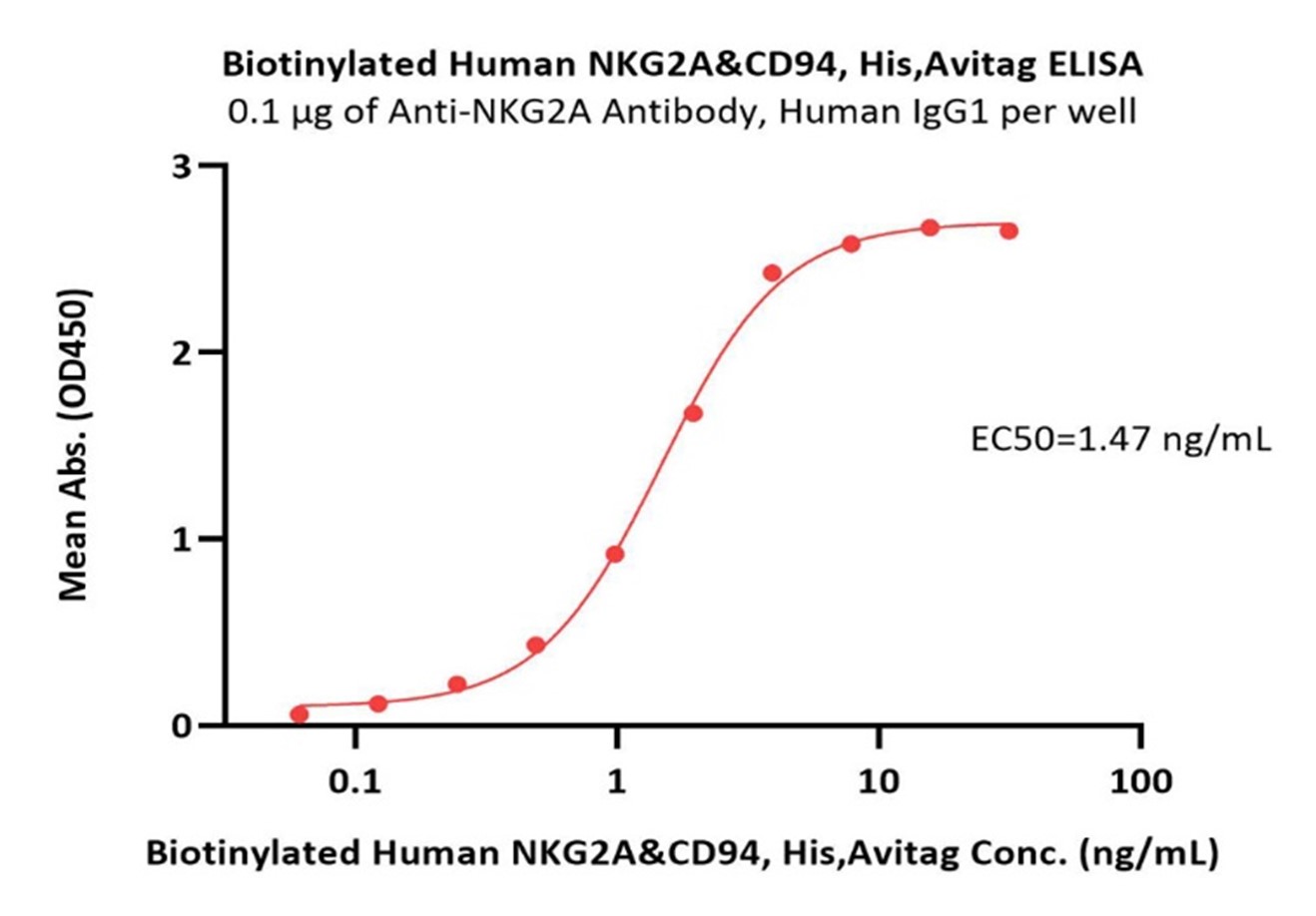 Immobilized Anti-NKG2A Antibody