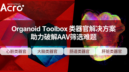 【类器官应用篇】看Organoid Toolbox如何破解AAV筛选难题