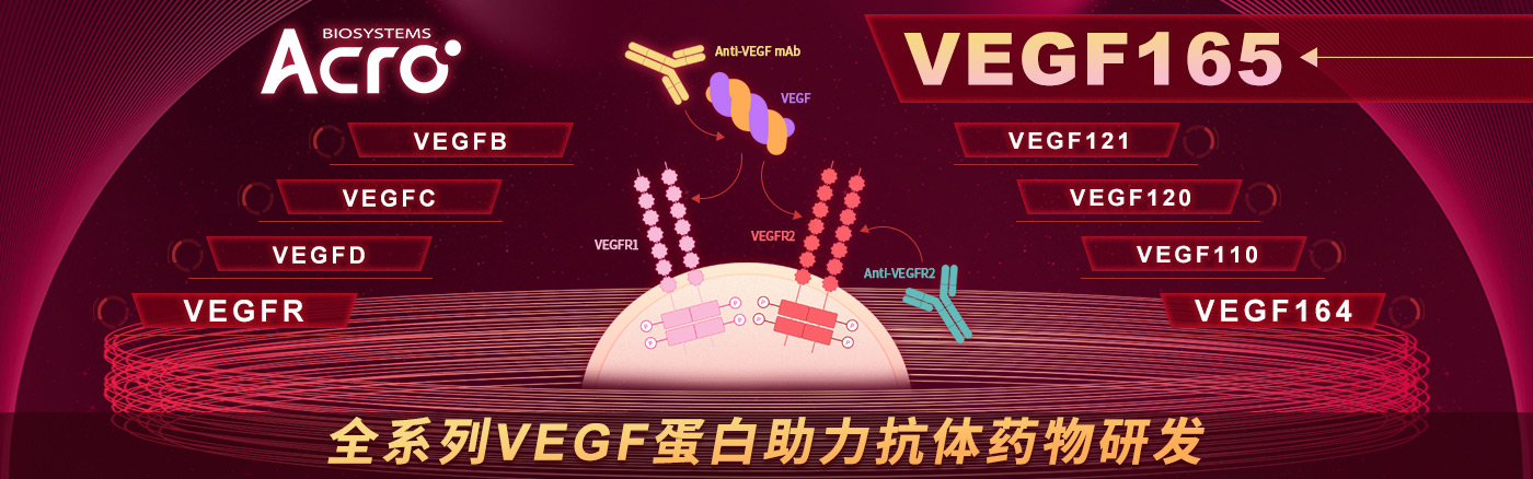 2024双抗新药上市