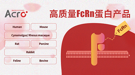 突破自身免疫疾病挑战，靶向FcRn前景可期