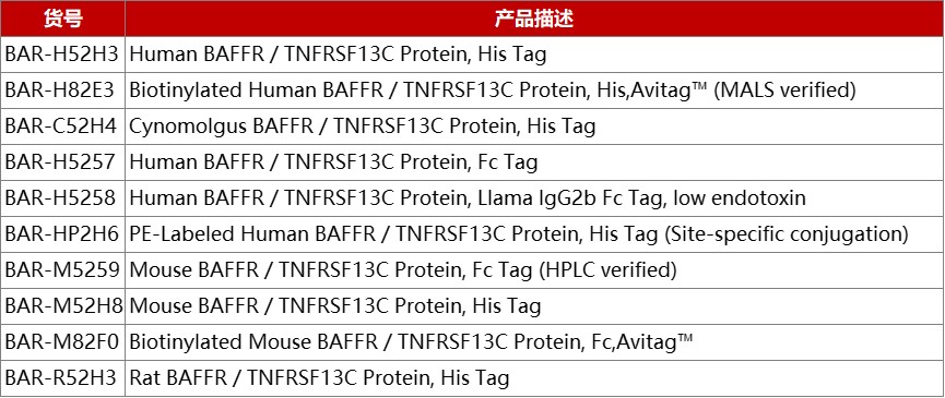 BAFF：强力对抗重症肌无力