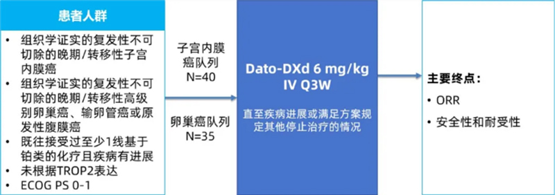 2024 ESMO|ADC在多个肿瘤领域掀起“超级风暴”