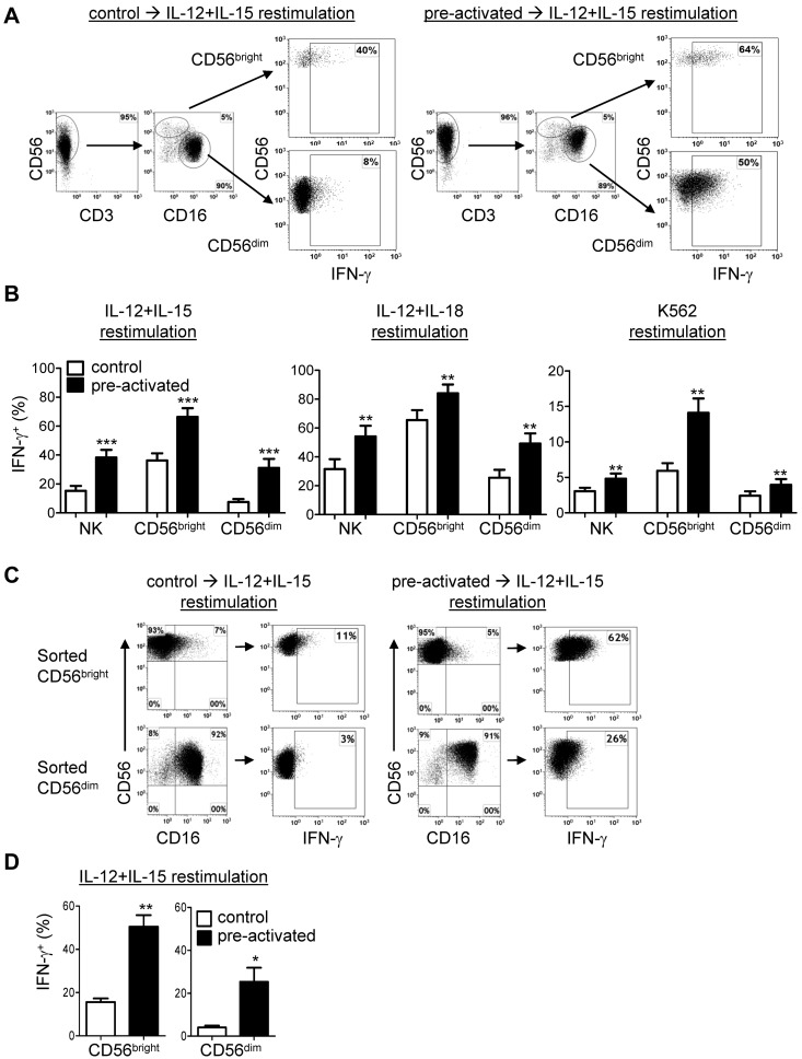 CD56bright and CD56dim NK cell subsets exhibit memory-like properties after IL-12 + IL-18 preactivation