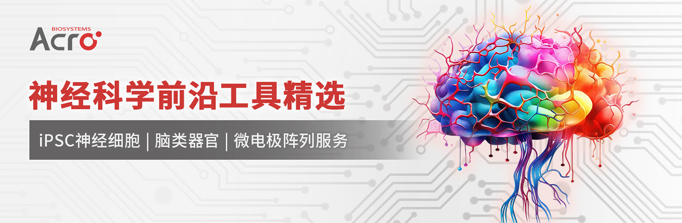 Aneuro联合Organoid Toolbox助您解码帕金森病新前沿