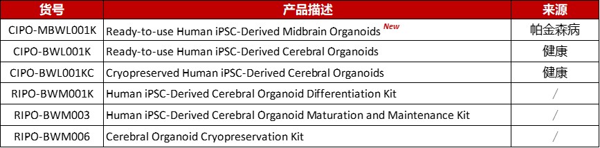 Aneuro联合Organoid Toolbox助您解码帕金森病新前沿