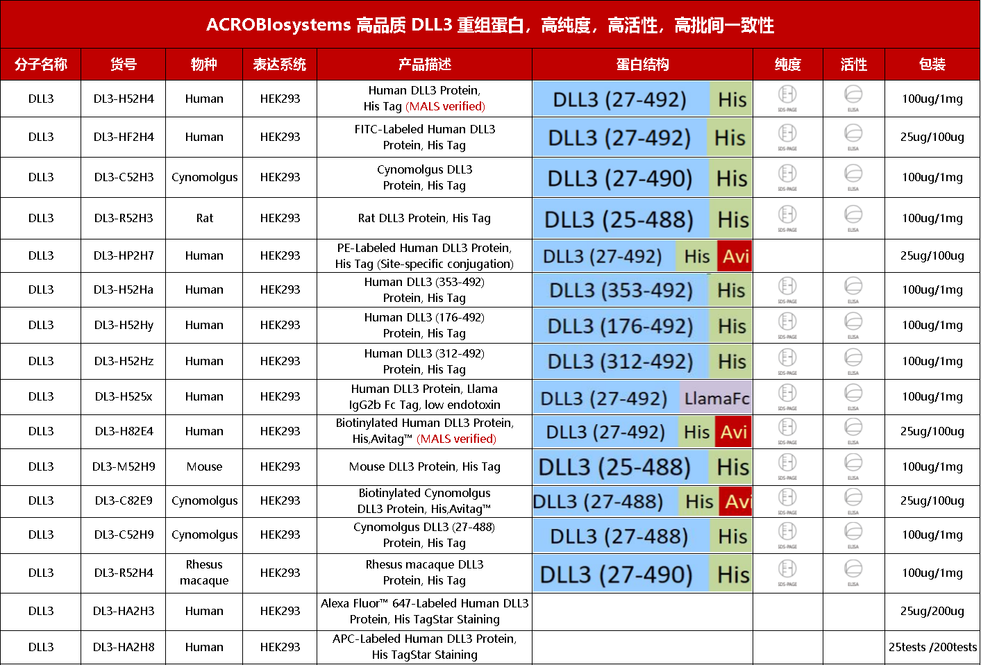 点击列表查看DLL3重组蛋白产品