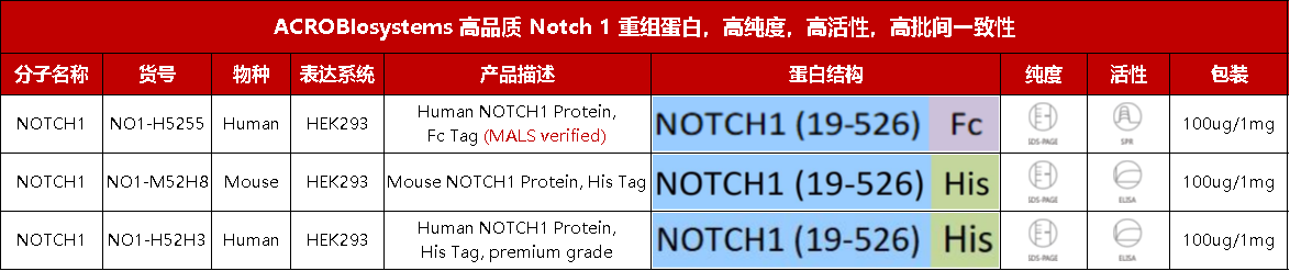 点击列表查看Notch1重组蛋白产品