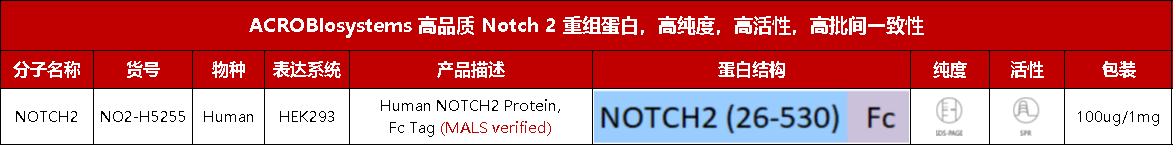 点击列表查看Notch2重组蛋白产品