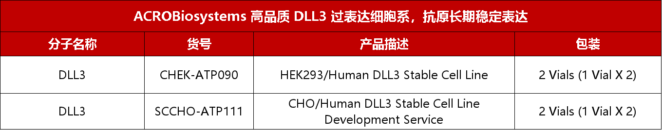 点击列表查看DLL3过表达株产品