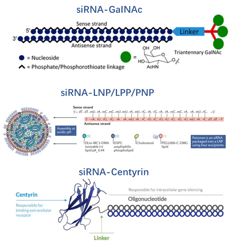 siRNA药物主流递送系统