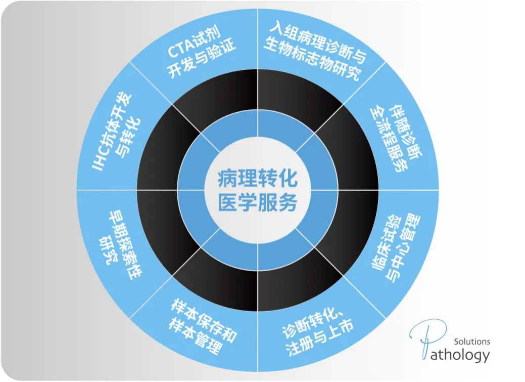 机构首发！完全自研PD-L1免疫组织化学检测方法（5D3）完整验证报告