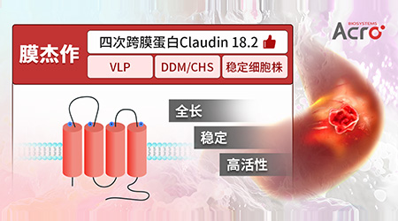 Claudin 18.2：胃来可期 | 首款靶向药物获批上市