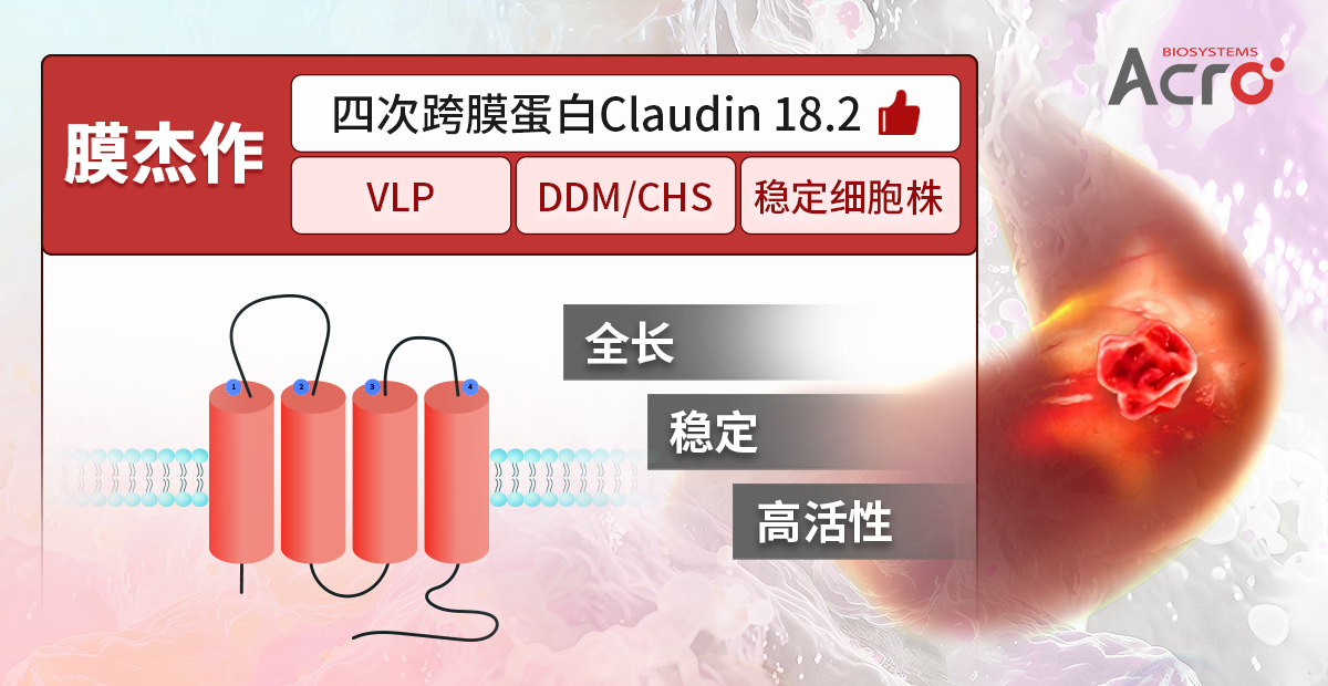 Claudin 18.2：胃来可期 | 首款靶向药物获批上市