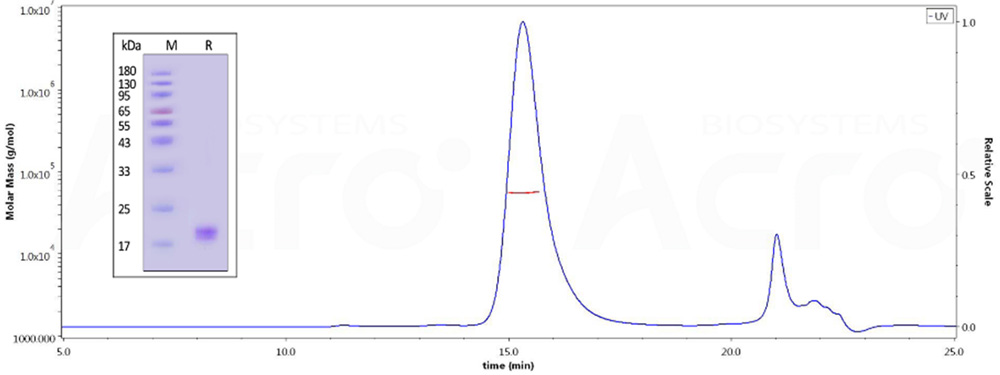 新形式新领域，CD40-CD40L不断扩宽边界