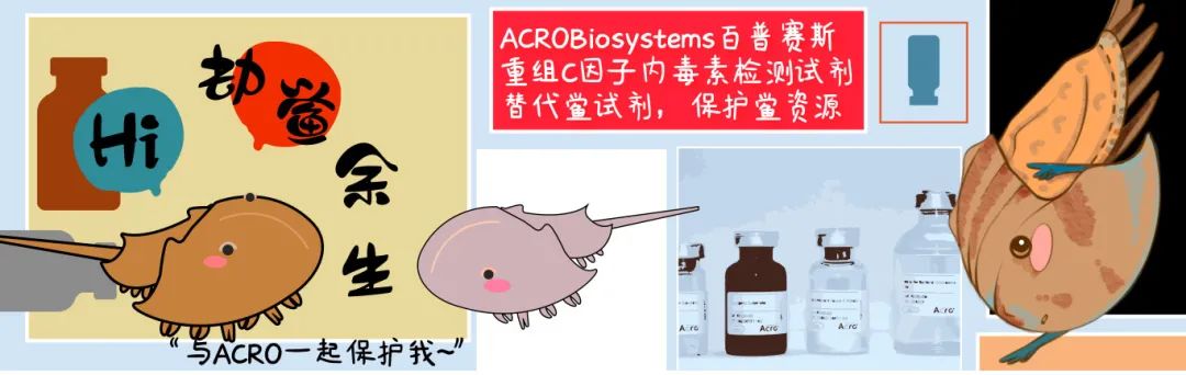 检测Anti-BCMA(C11D5.3) CAR的高特异性抗体！