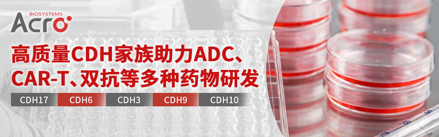 CDH家族解锁ADC单抗、双抗及CAR-T多种疗法